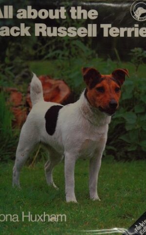 All About the Jack Russell Terrier