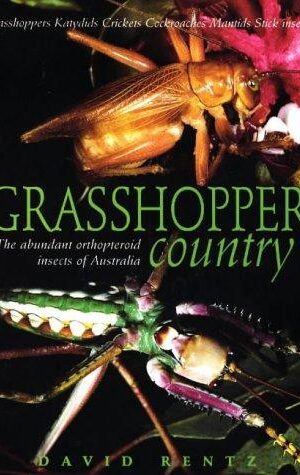 Grasshopper Country: The Abundant Orthopteroid  Insects of Australia