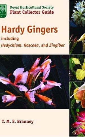Hardy Gingers including Hedychium, Roscea, and Zingiber