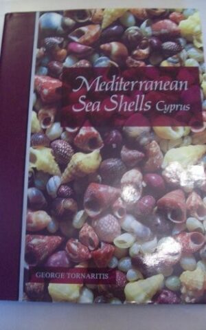 Mediterranean Sea Shells Cyprus