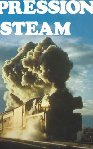 Impressions of Steam