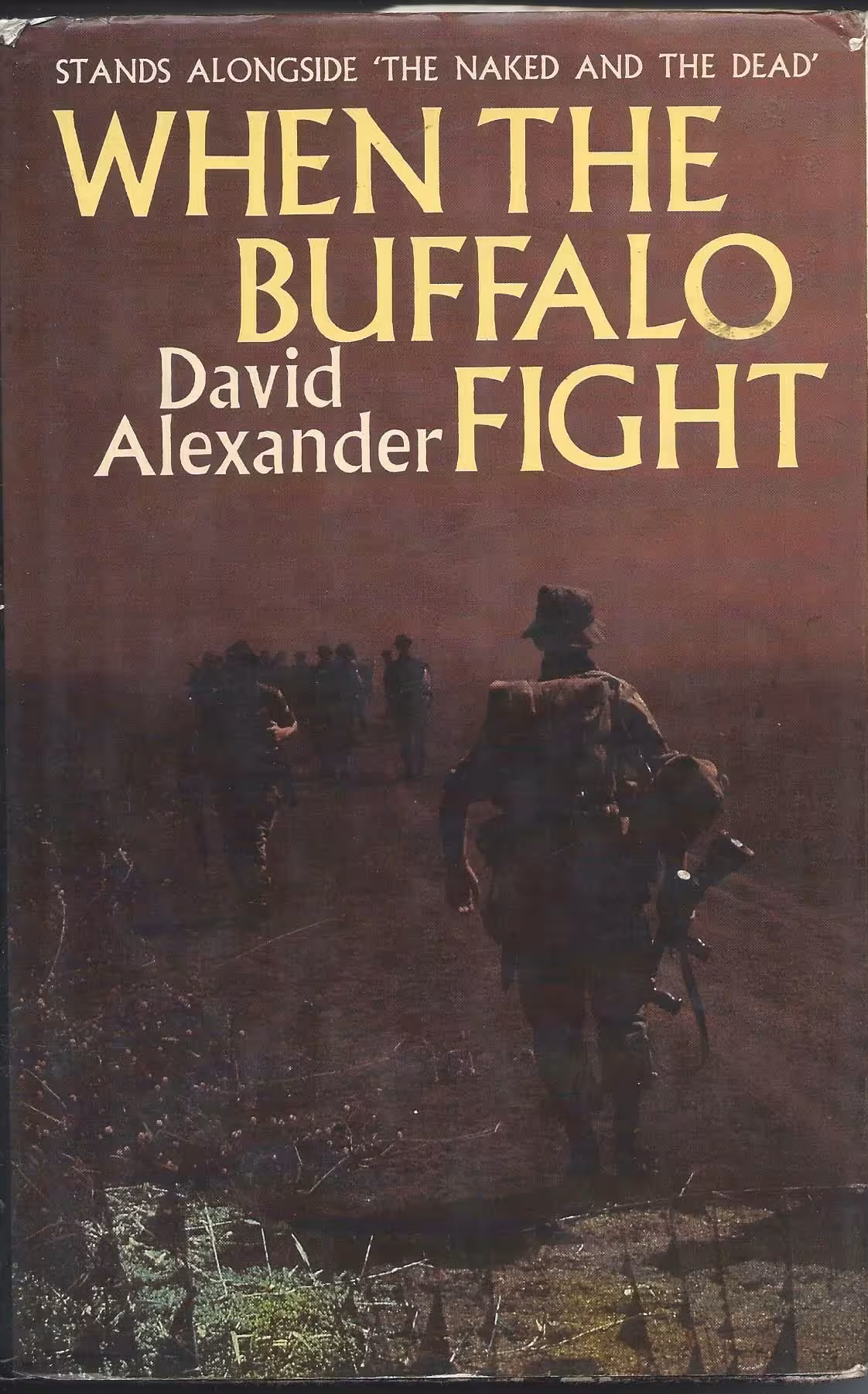 When the Buffalo Fight