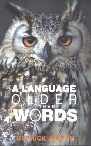 A Language Older Than Words