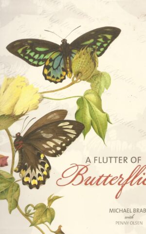 A Flutter of Butterflies