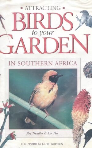 Attracting Birds to Your Garden in Southern Africa