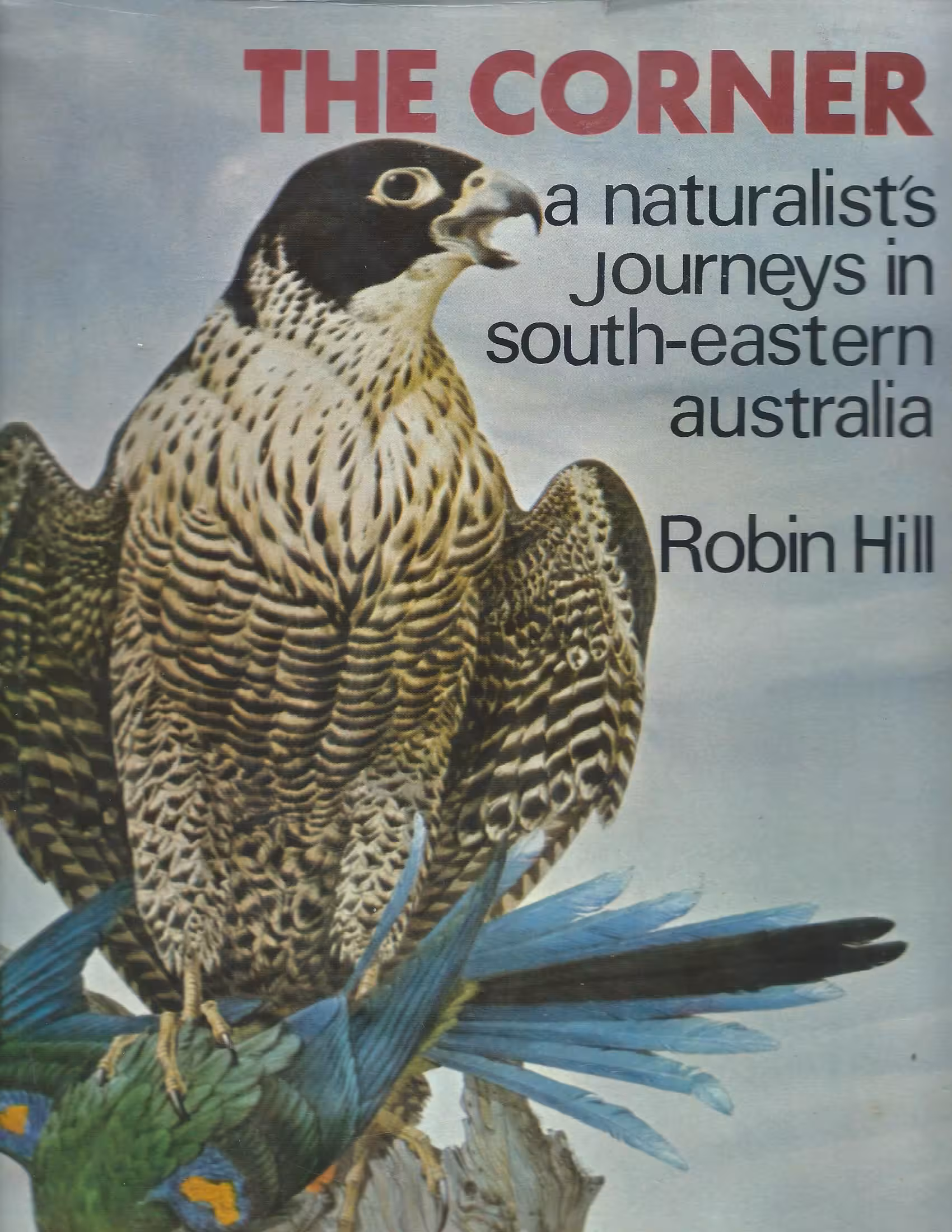 The Corner, A Naturalist’s Journeys in South-Eastern Australia