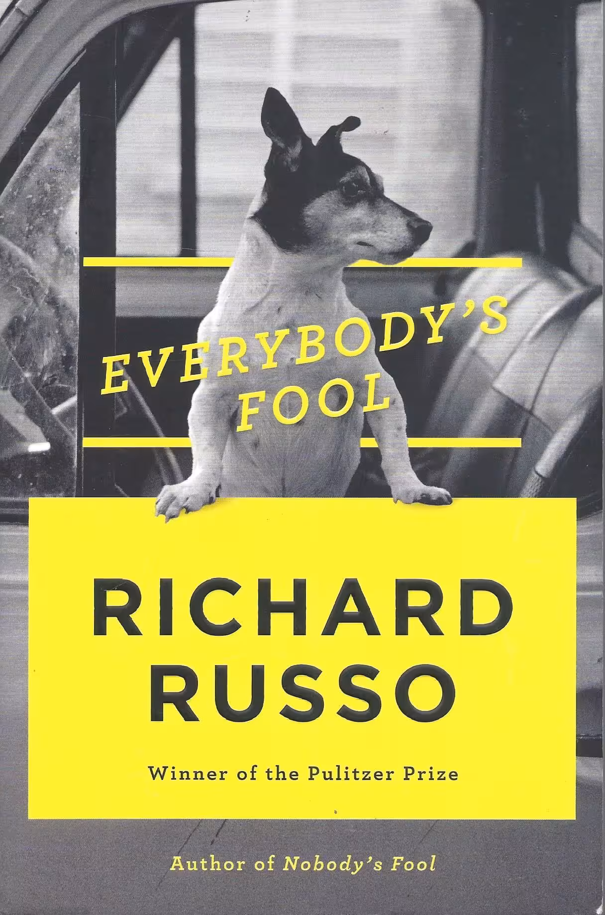 Everybody’s Fool