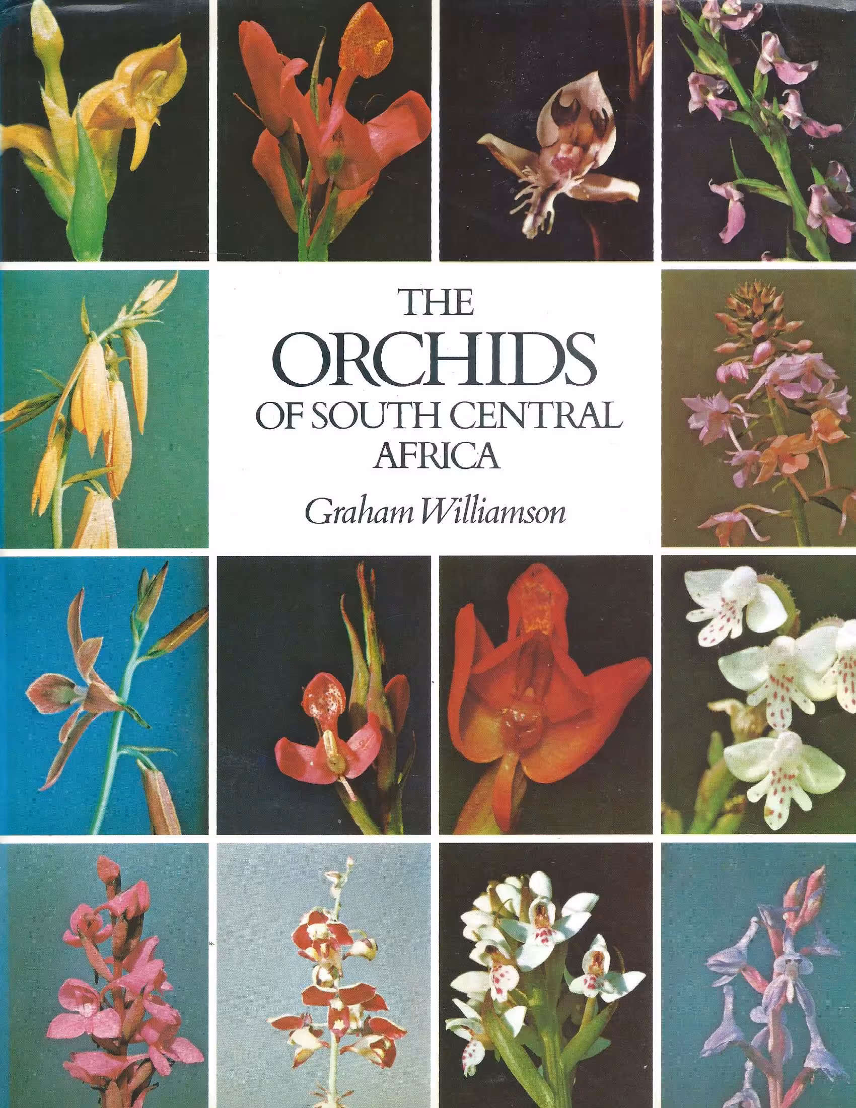 The Orchids of South Central Africa