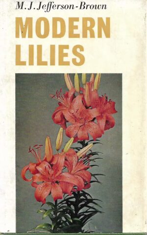 Modern Lilies