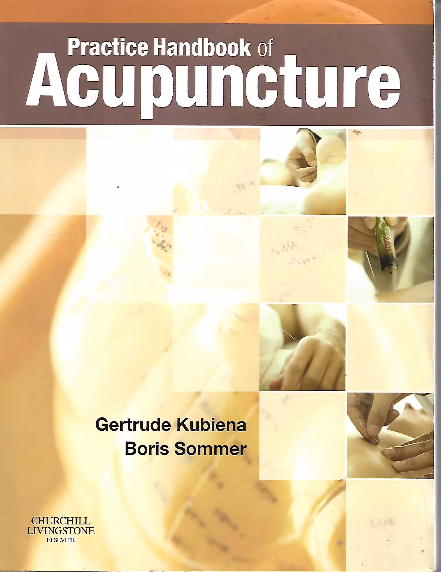 Practice Handbook of Acupuncture