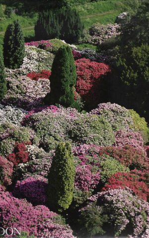 The English Garden