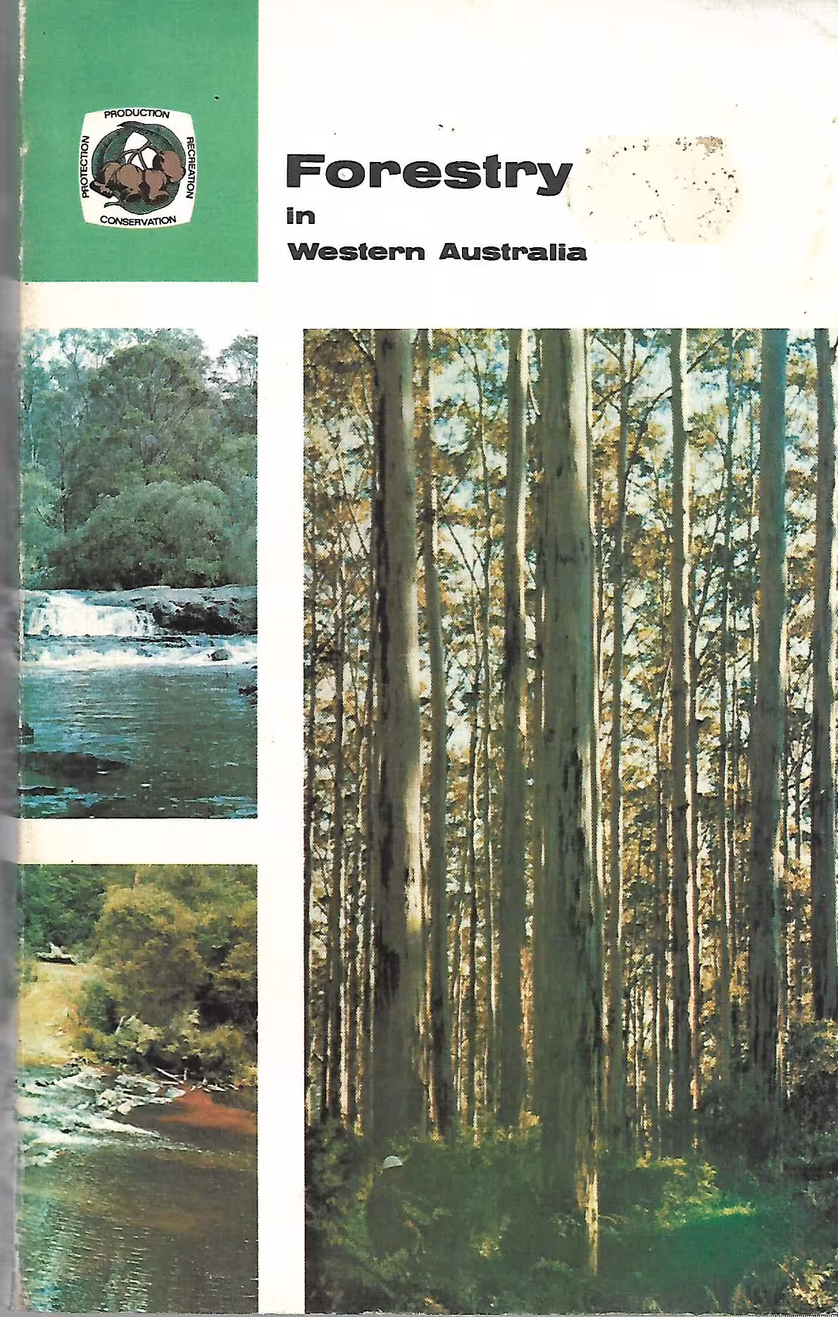 Forestry in Western Australia