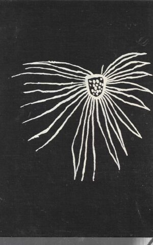 Australian Aboriginal Art