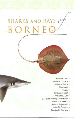 Sharks and Borneo