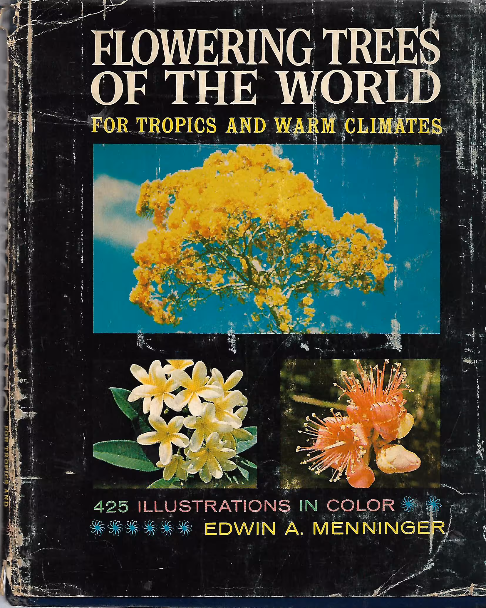 Flowering Trees of the World For Tropics and Warm Climates