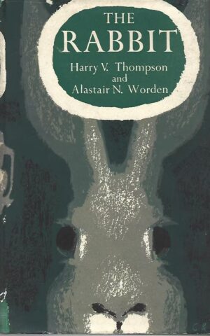 The Rabbit With an Appendix on Legal Aspects by Valerie Worrall