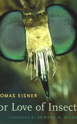 For Love of Insects