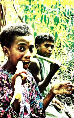 Maraia Lives in a Fijian Village, People on Earth