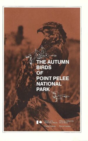 The Autumn Birds of Point Pelee National Park