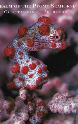 Realm of the Pygmy Seahorse