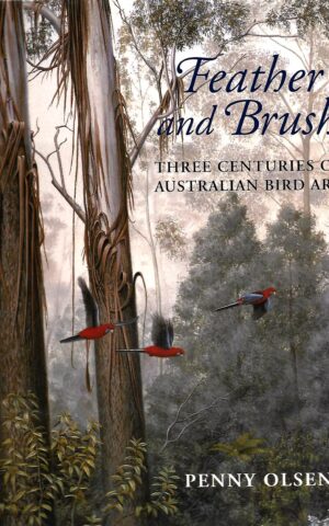 Feather and Brush