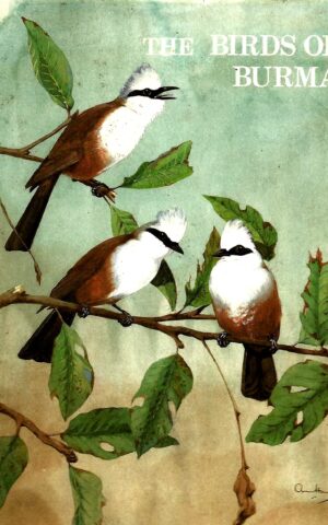 The Birds of Burma, World of Ornithology