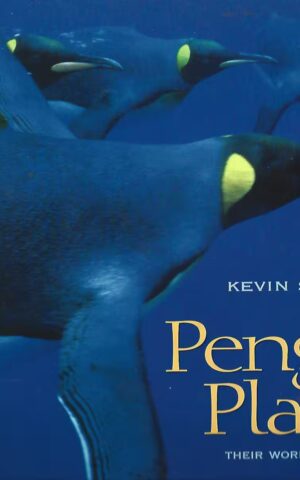 Penguin Planet, Their World, Our World