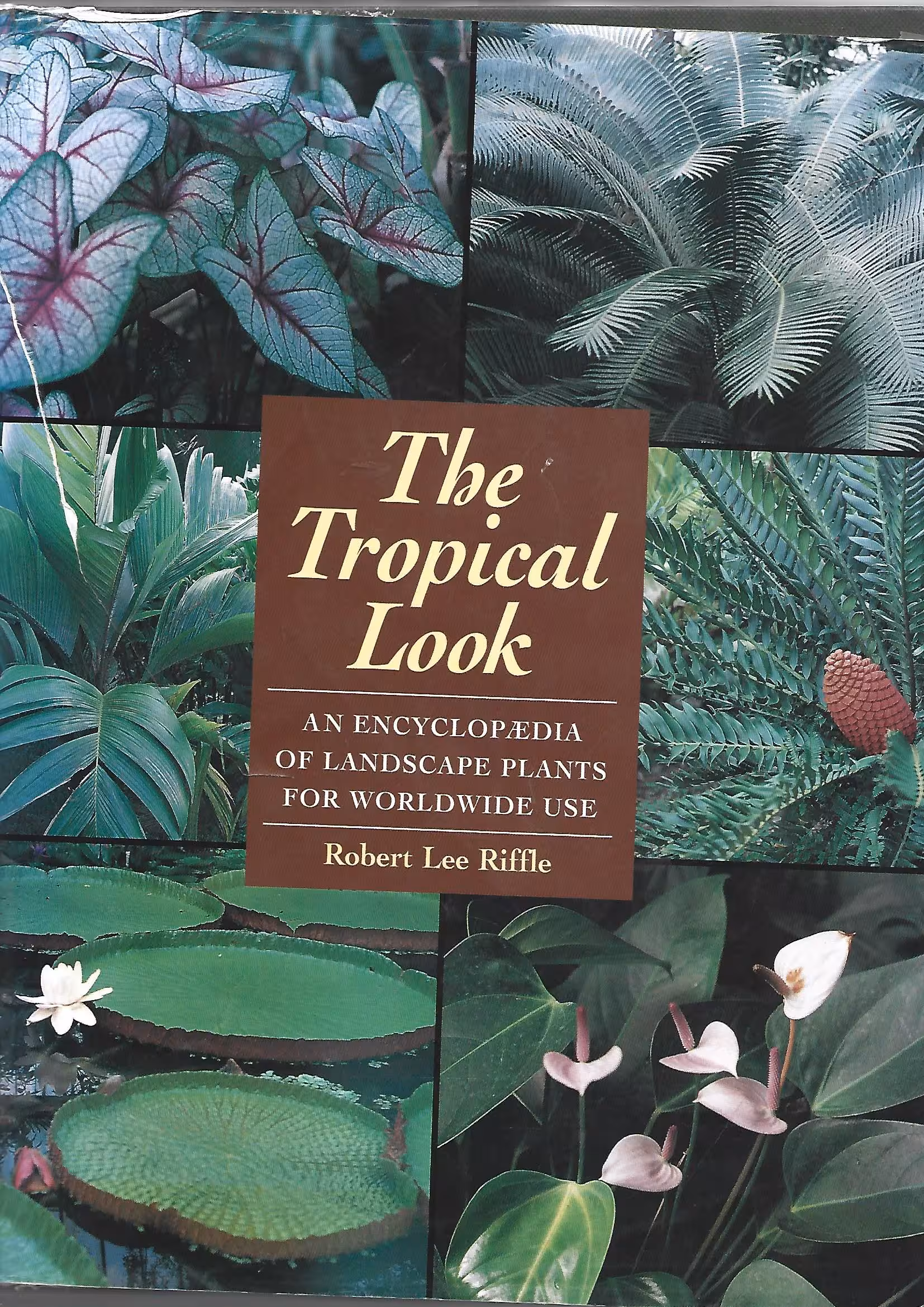The Tropical Look, An Encyclopedia of Landscape Plants for Worldwide Use
