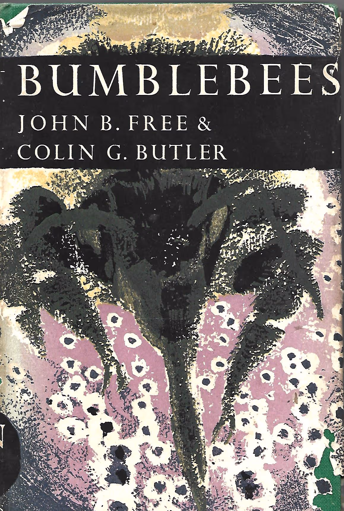 Bumblebees