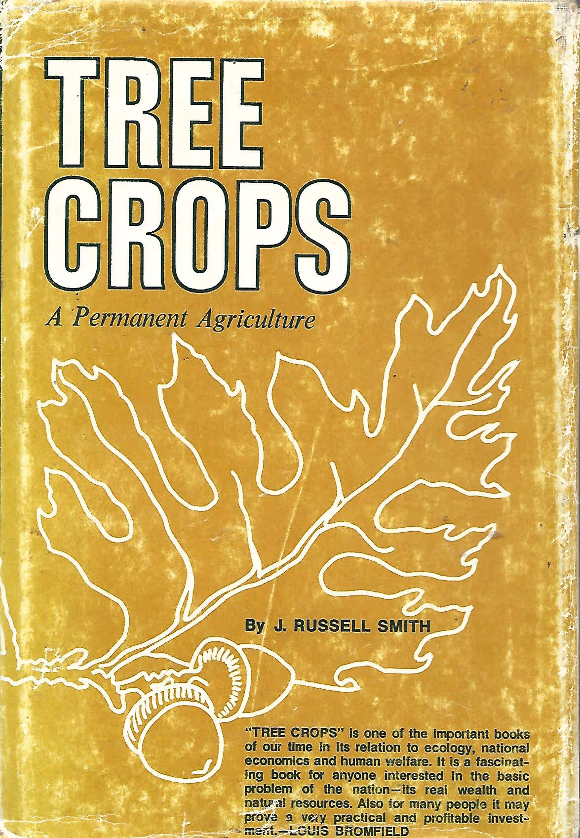 Tree Crops, A Permanent Agriculture