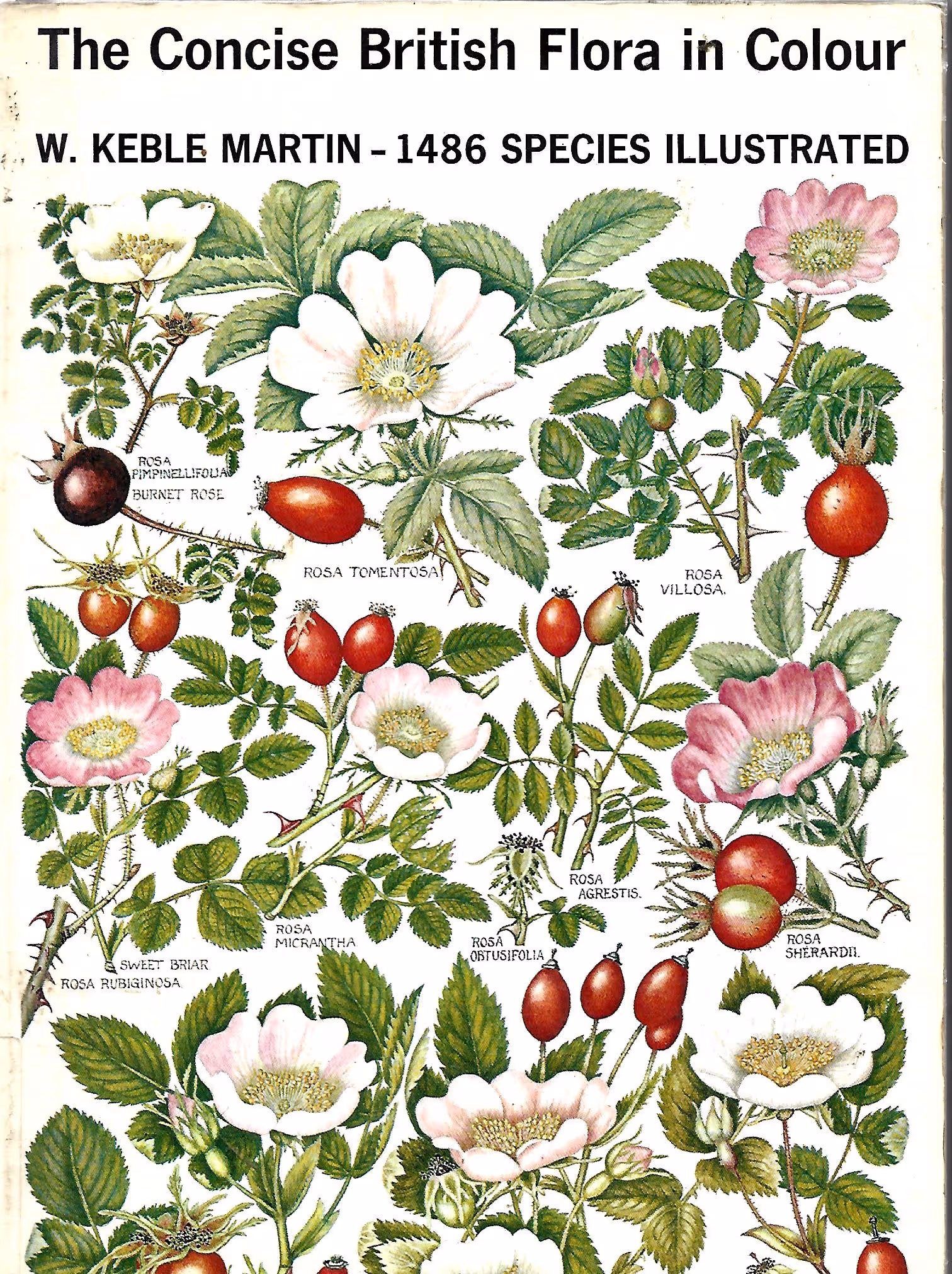 The Concise British Flora in Colour