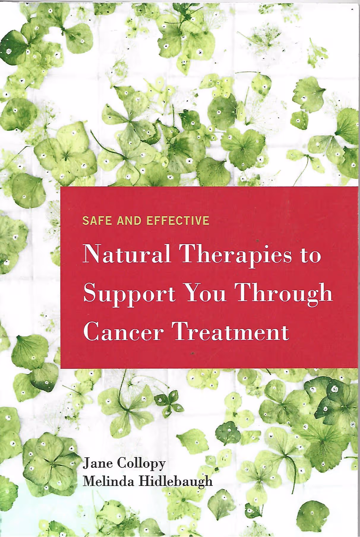 Safe and Effective Natural Therapies to Support You Through Cancer Treatment