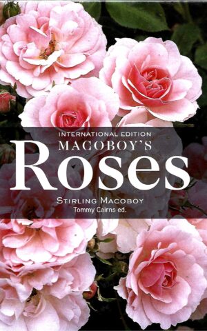 International Edition Macoboy's Roses