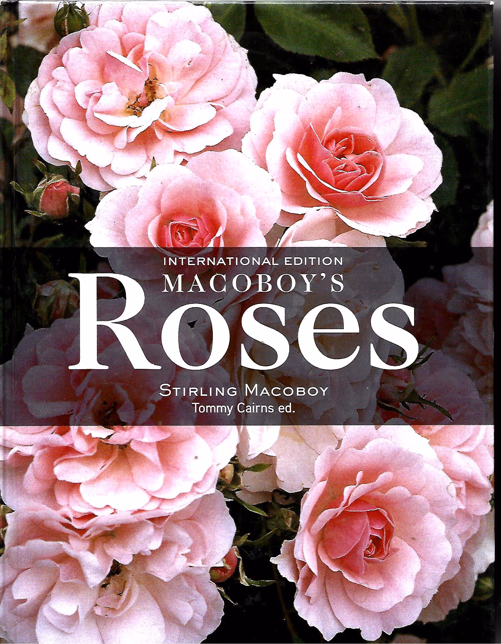 International Edition Macoboy's Roses