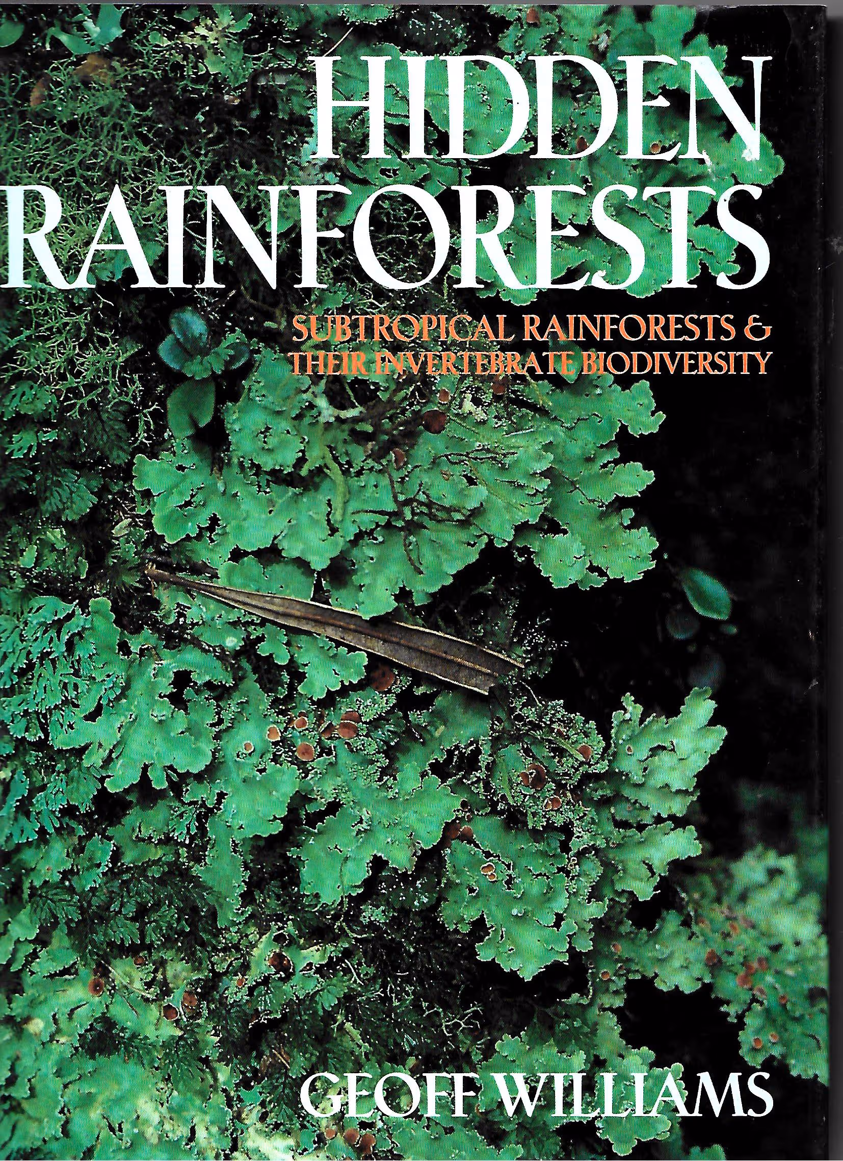 Hidden Rainforests, Subtropical Rainforests & Their Invertebrate Biodiversity