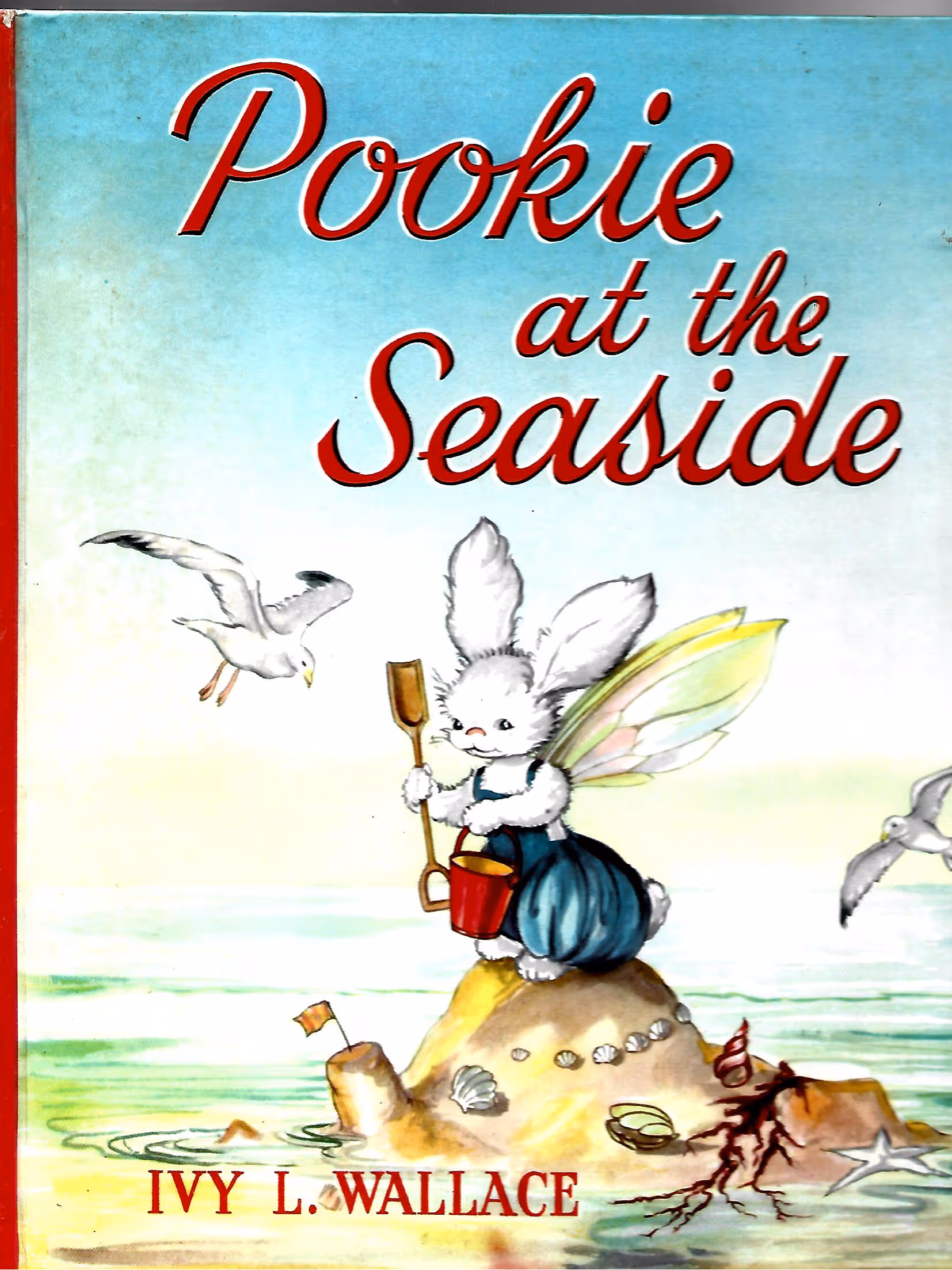 Pookie at the Seaside