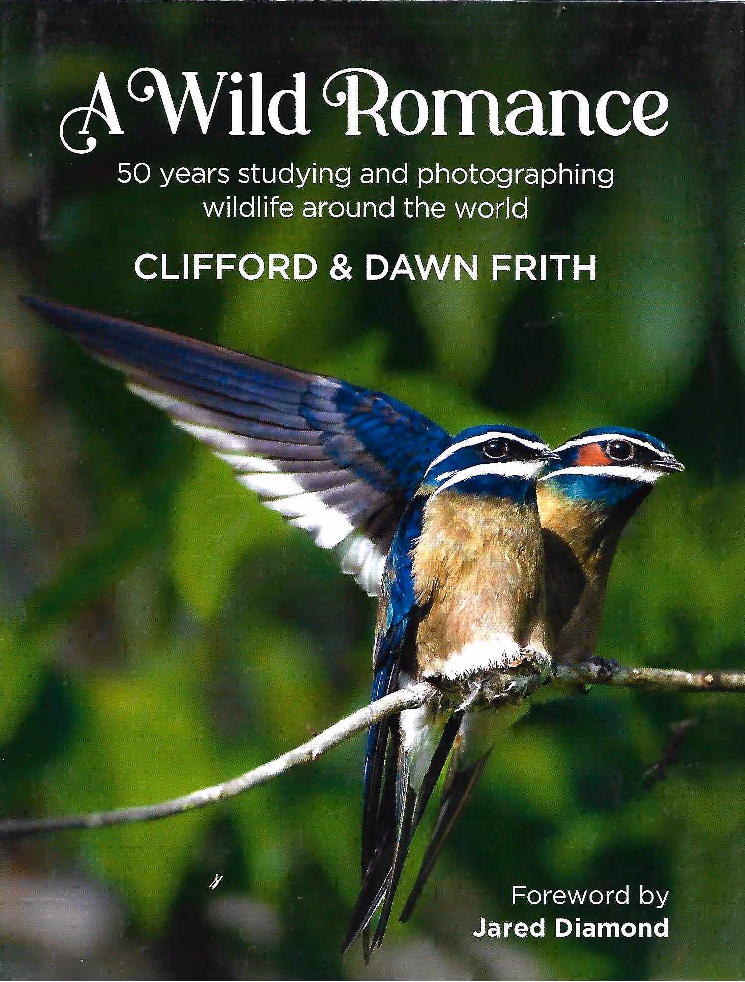 A Wild Romance, 50 Years Studying and Photographing Wildlife Around the World