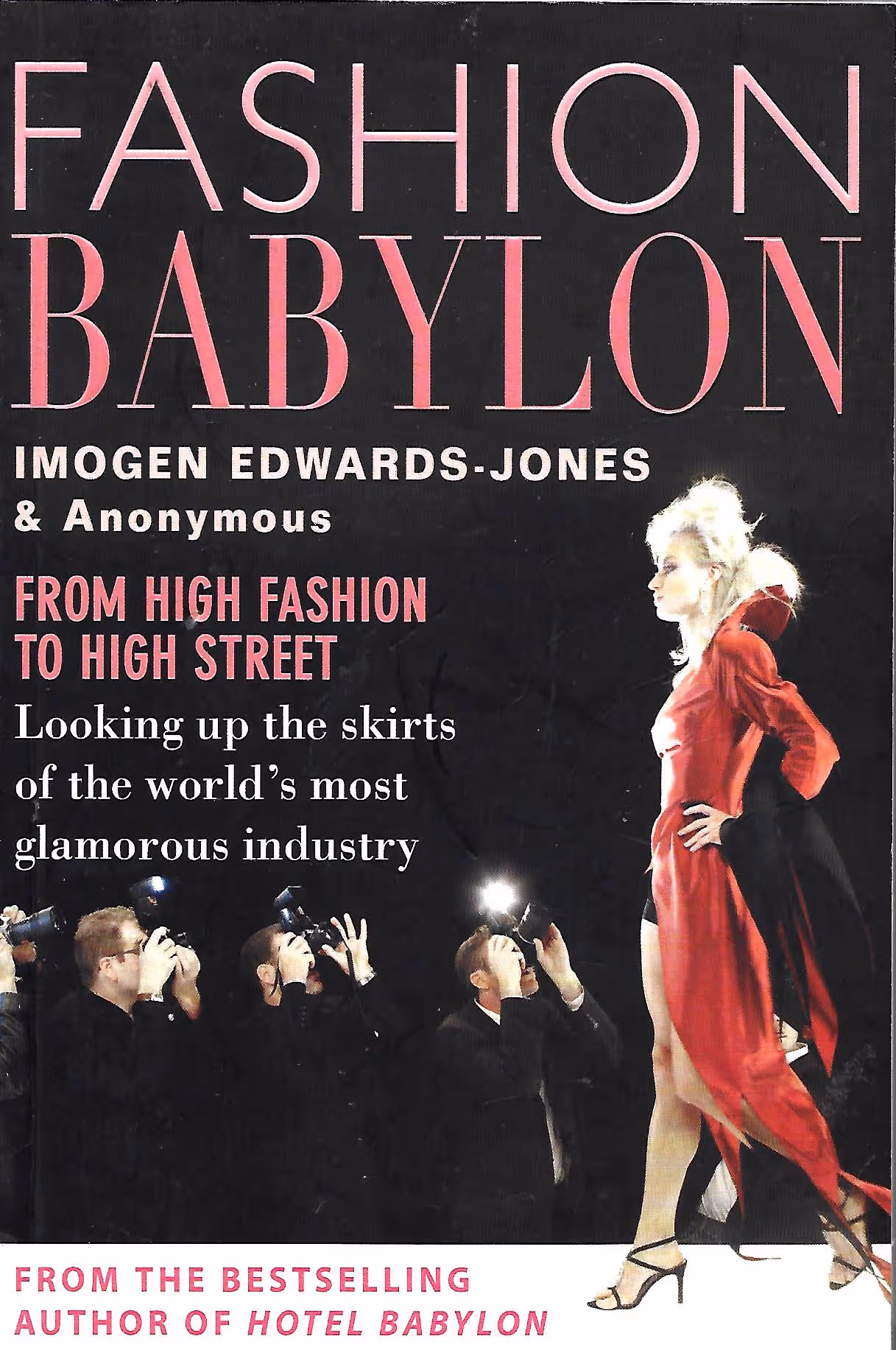 Fashion Babylon, From High Fashion to High Street, Looking Up the Skirts of the World's Most Glamourous Industry