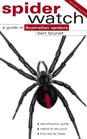 Spider Watch, A Guide to Australian Spiders, Identification Guide, Habits & Lifestyle, First Aid for Bites