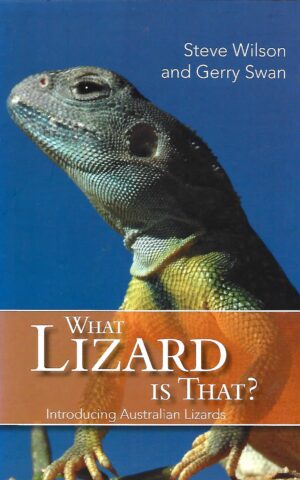 What Lizard is That? Introducing Australian Lizards