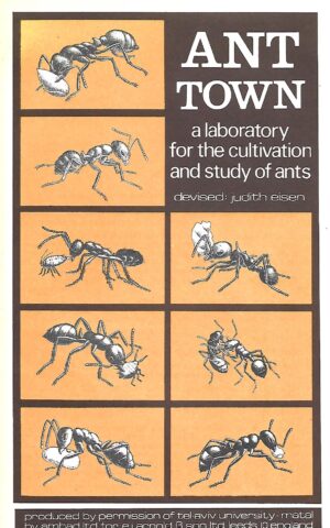 Ant Town, A Laboratory for the Cultivation and Study of Ants