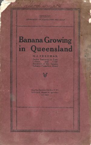 Banana Growing in Queensland