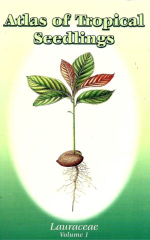 Atlas of Tropical Seedlings, Lauraceae Volume 1