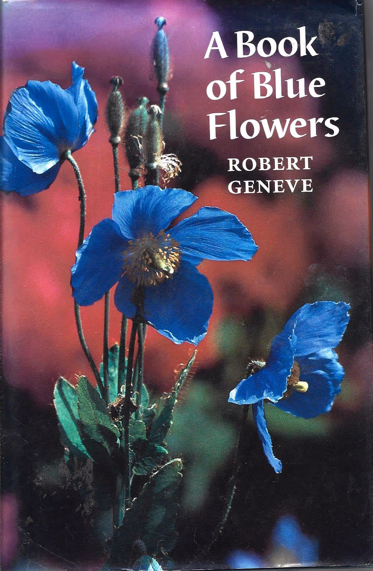 A Book of Blue Flowers