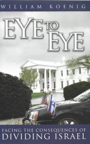 Eye to Eye, Facing the Consequences of Dividing Israel