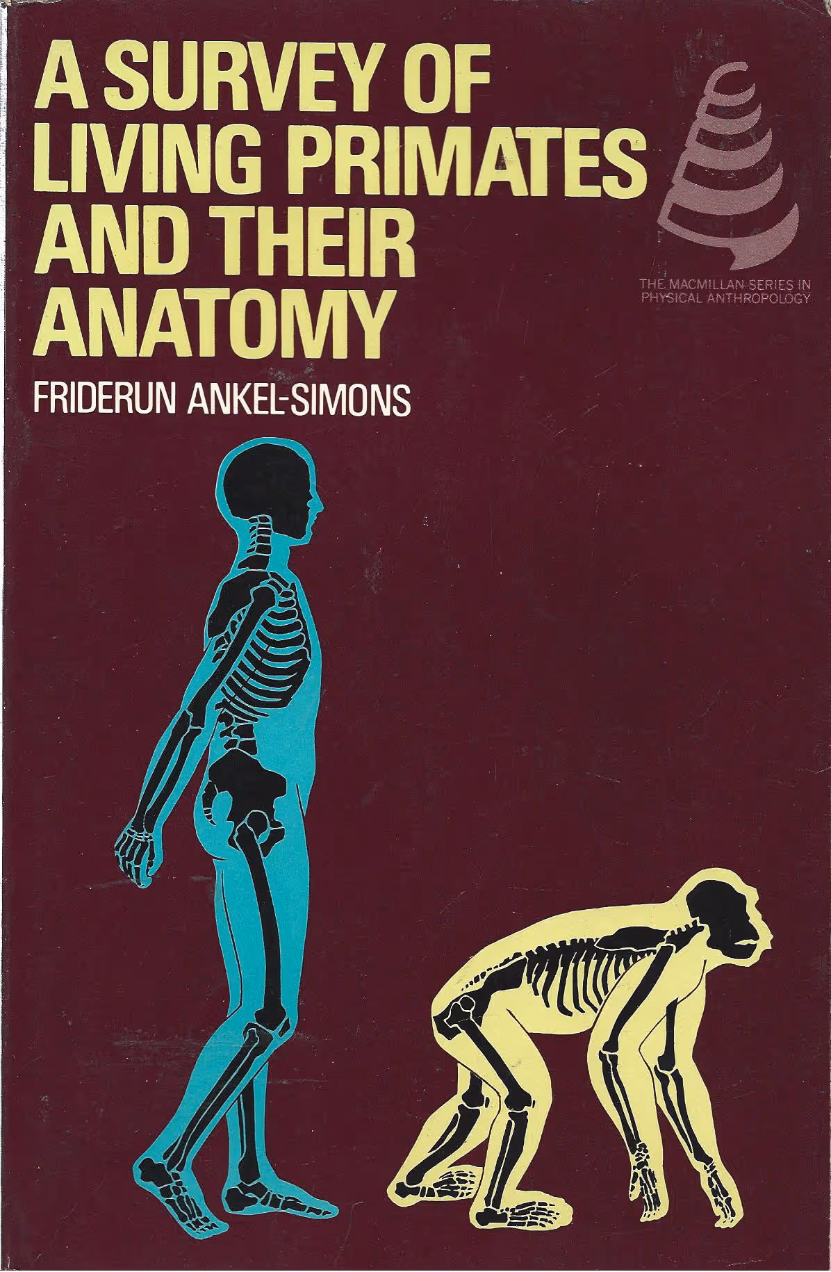 A Survey of Living Primates and Their Anatomy