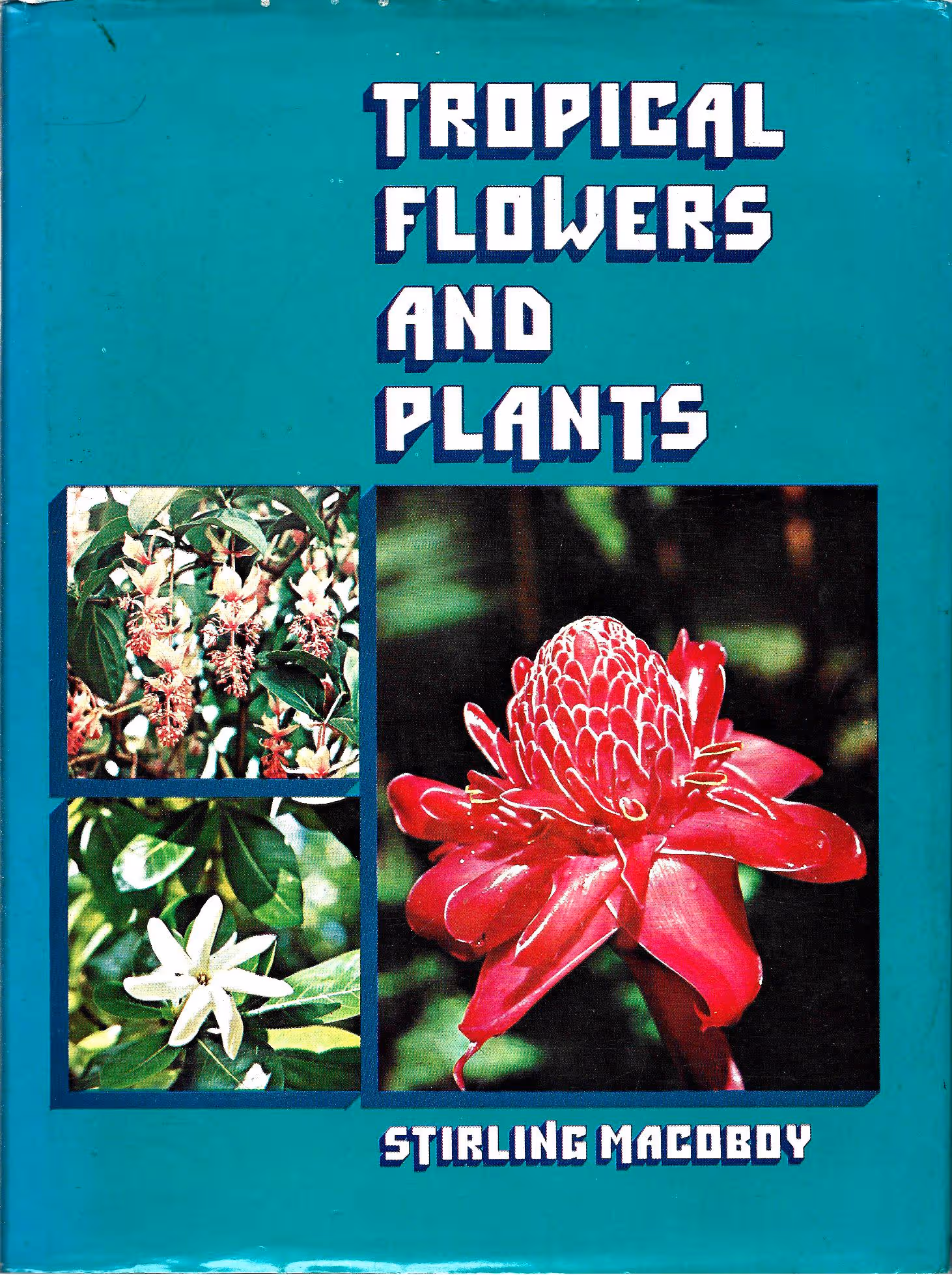 Tropical Flowers and Plants