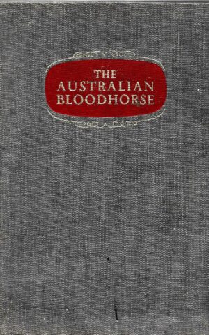 The Australian Bloodhorse