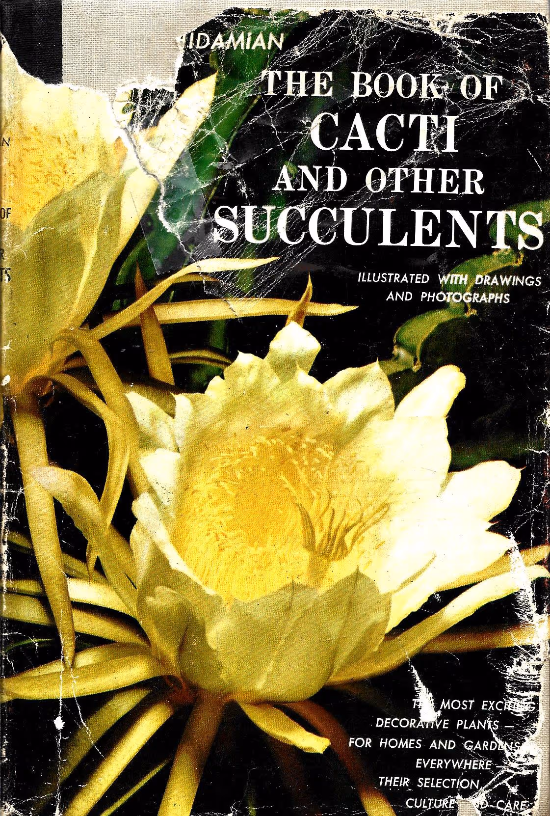 The Book of Cacti and Other Succulents