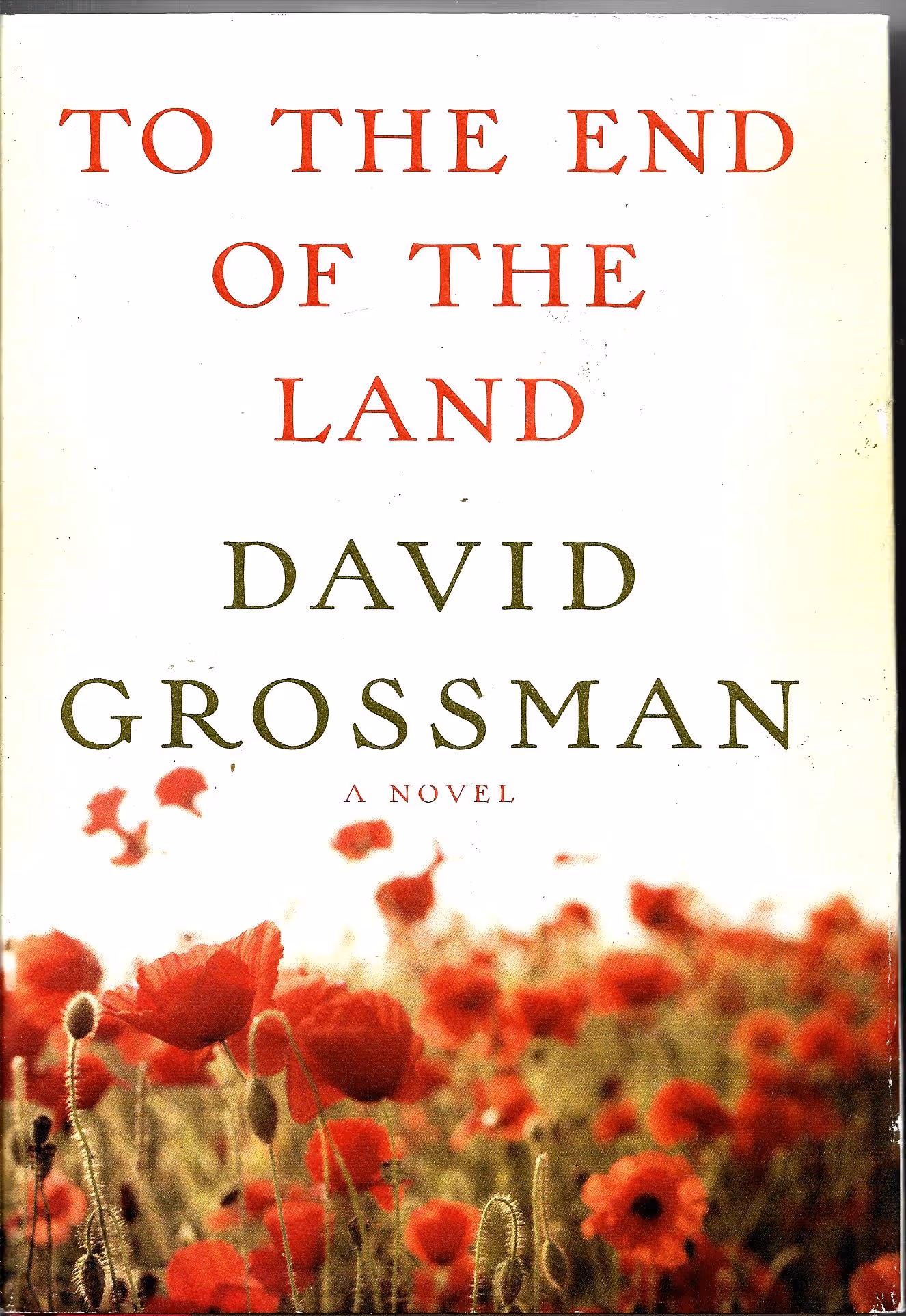 To the End of the Land